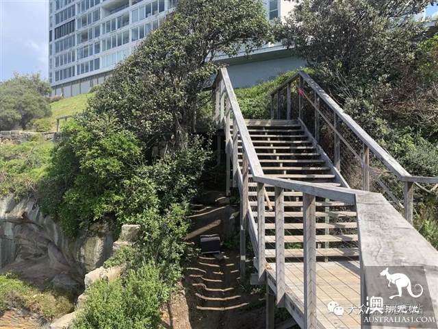 沧海遗珠，悉尼钻石湾保护区，INS博主惊险照秒解锁