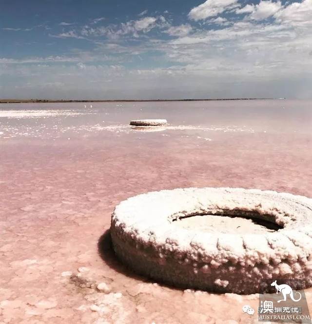维州「天空之境」泰瑞尔湖干了,没了水居然美到上天