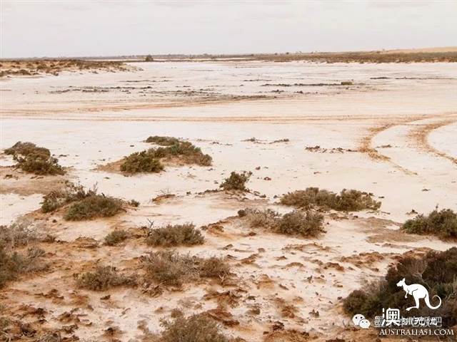 维州「天空之境」泰瑞尔湖干了,没了水居然美到上天