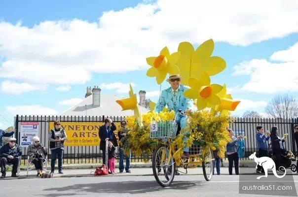 凯恩顿小镇:63年传统水仙花节,正确打开春天的模式