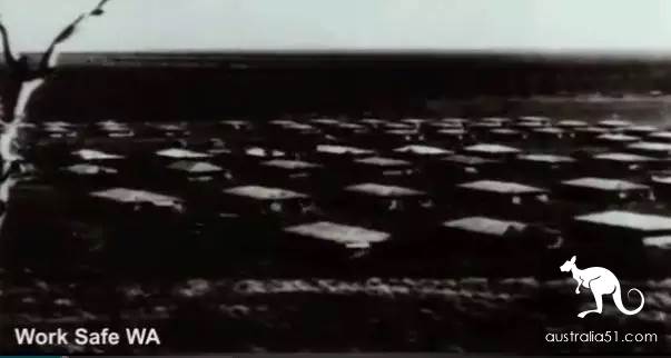 作大死！澳洲鬼城已杀死2000人，游客还纷至沓来，4万澳洲人还在威胁之下