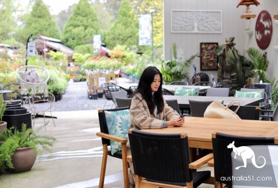 Warran Glen Nursery:鲜花与咖啡邂逅,深山里的秘密花园