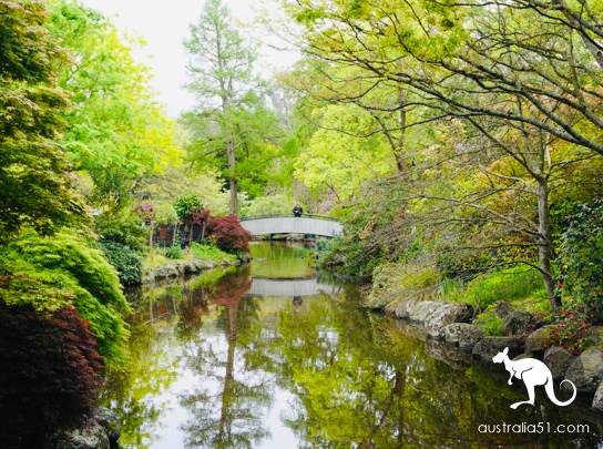 Warran Glen Nursery:鲜花与咖啡邂逅,深山里的秘密花园