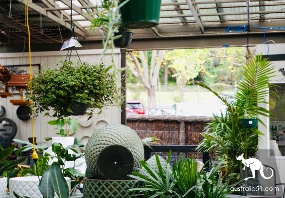 Warran Glen Nursery:鲜花与咖啡邂逅,深山里的秘密花园