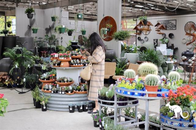 Warran Glen Nursery:鲜花与咖啡邂逅,深山里的秘密花园