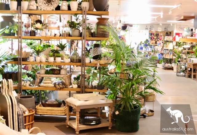 Warran Glen Nursery:鲜花与咖啡邂逅,深山里的秘密花园
