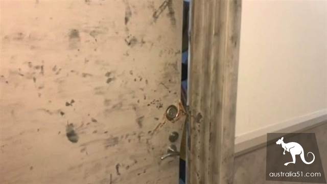 悉尼华裔女子遭藏尸冷冻箱案，丈夫在四川被捕