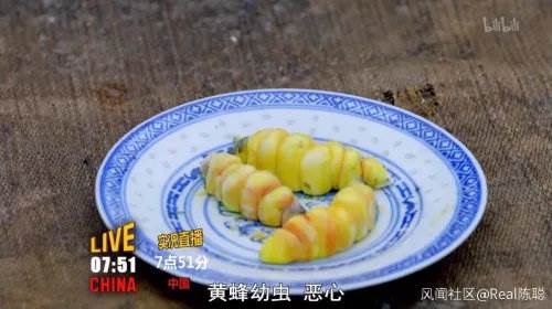 黄蜂幼虫(网络图片)
