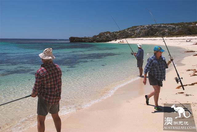 网红矮袋鼠故乡,西澳罗特尼斯岛(Rottnest Island)干货攻略之玩乐篇