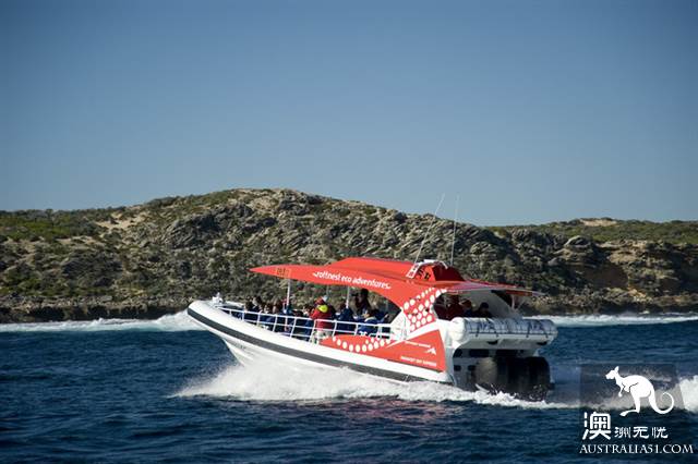 网红矮袋鼠故乡,西澳罗特尼斯岛(Rottnest Island)干货攻略之玩乐篇