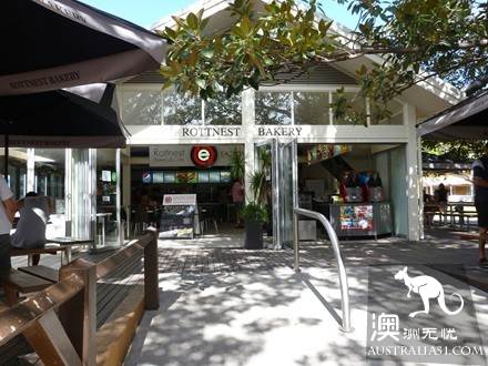 网红矮袋鼠故乡,西澳罗特尼斯岛攻略之住宿美食篇