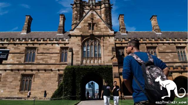 多所大学敦促联邦政府,为留学生返澳制定一套安全走廊计划。
