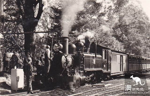 上百年历史的Puffing Billy Railway小火车,为什么至今依然受宠?(附小火车游玩攻略)