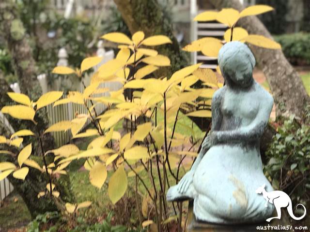Leura瀑布艺术馆秘密花园一瞥。(记者摄)