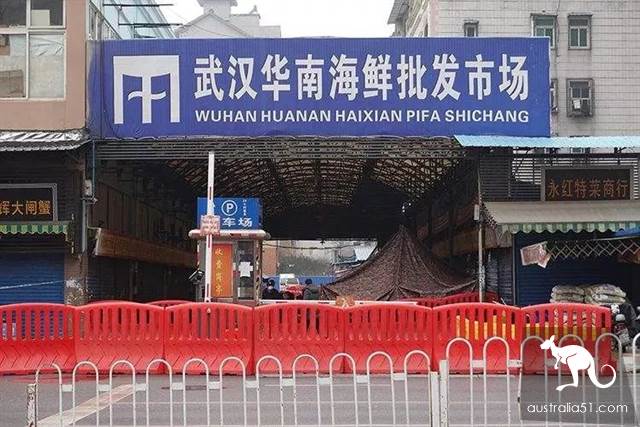 武汉华南海鲜市场罕见照片!