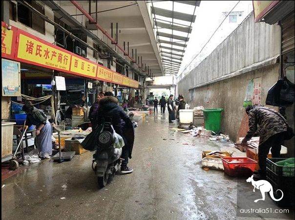 武汉华南海鲜市场罕见照片!