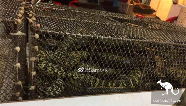 武汉华南海鲜市场罕见照片!