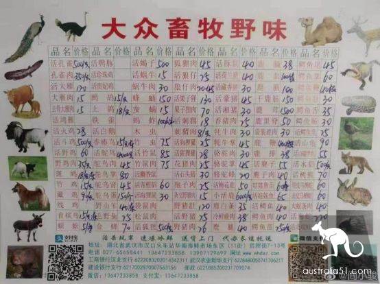 武汉华南海鲜市场罕见照片!