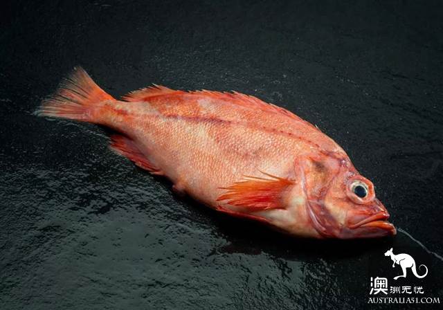 澳洲超市常卖的蔬菜、鱼、香料都叫什么？怎么吃？