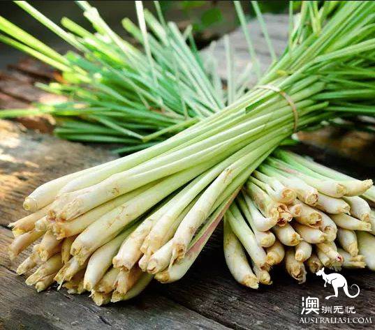 澳洲超市常卖的蔬菜、鱼、香料都叫什么？怎么吃？
