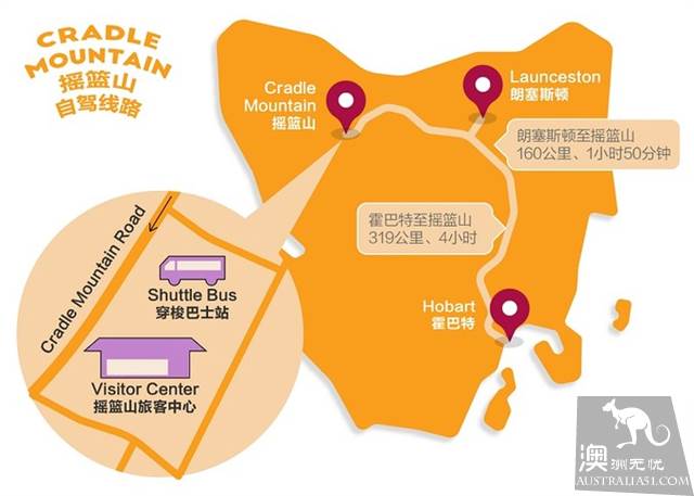 塔斯马尼亚野生动物探秘指南