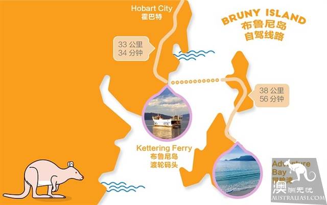 塔斯马尼亚野生动物探秘指南