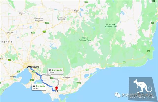 吉普斯兰,距墨尔本2h的隐秘宝藏:赏鲸豚、采松露、荧光海...彻底告别普通游客团