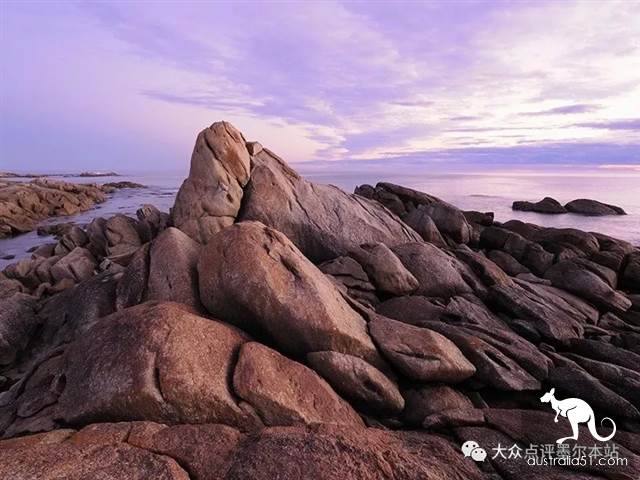 吉普斯兰,距墨尔本2h的隐秘宝藏:赏鲸豚、采松露、荧光海...彻底告别普通游客团