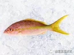 在墨尔本吃海鲜看这一篇就够了!超市里海鲜科普