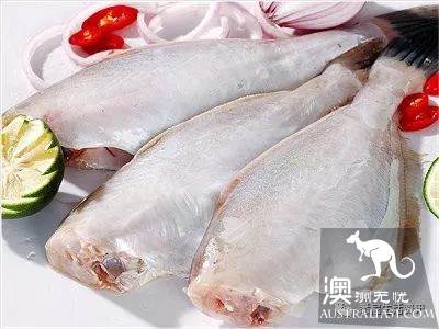 在墨尔本吃海鲜看这一篇就够了!超市里海鲜科普