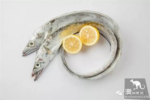 在墨尔本吃海鲜看这一篇就够了!超市里海鲜科普