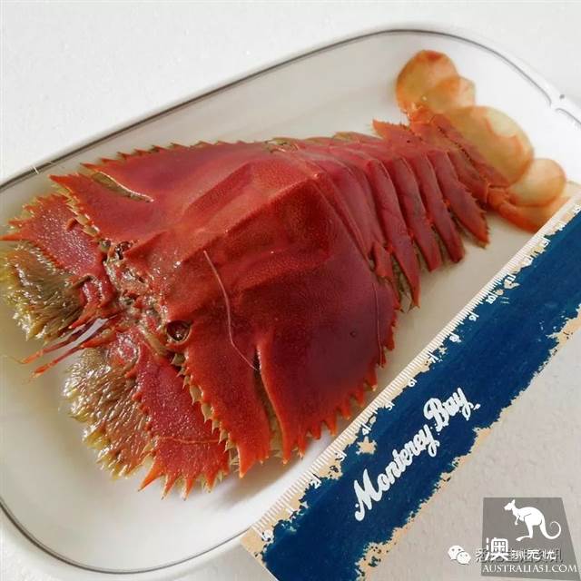 在墨尔本吃海鲜看这一篇就够了!超市里海鲜科普