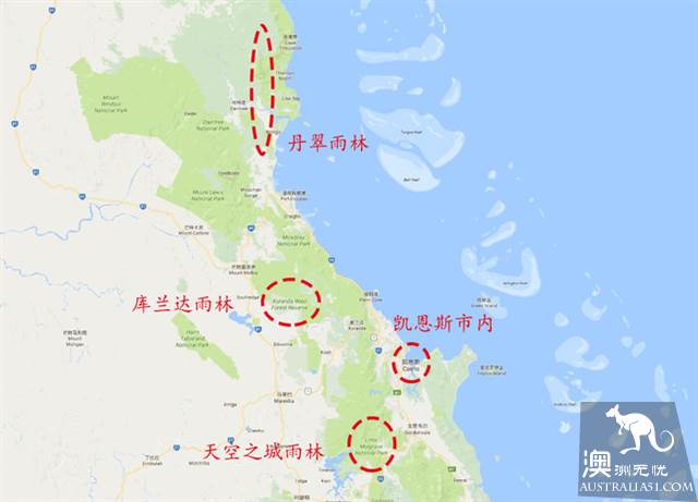 凯恩斯三大热带雨林PK,你投谁一票?