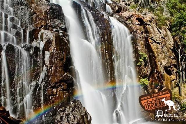 玩遍墨尔本市区,还可以来格兰屏山!最全攻略都在这
