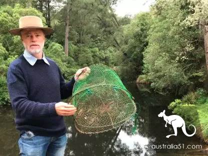 澳洲鸭嘴兽蠢萌中二？其实这货是孤独又腹黑的独居高手，可最近它过得并不好