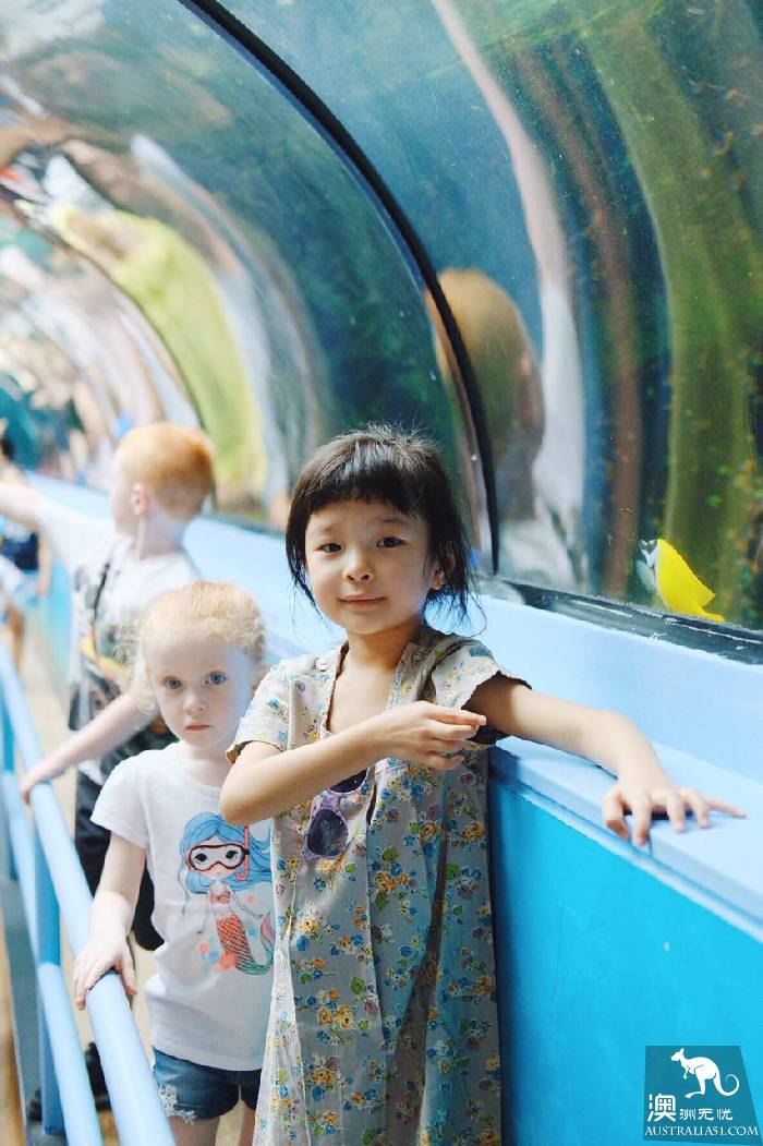 寻宝：悉尼海洋生物水族馆游览杂记