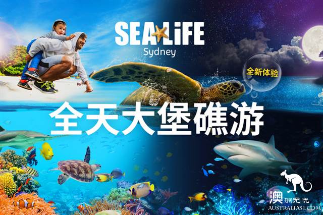 悉尼水族馆全攻略,水族馆就应该这样玩!