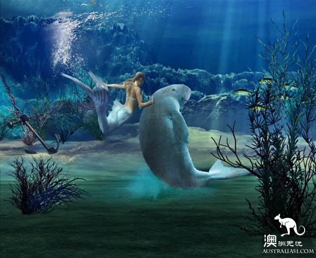 悉尼水族馆全攻略,水族馆就应该这样玩!