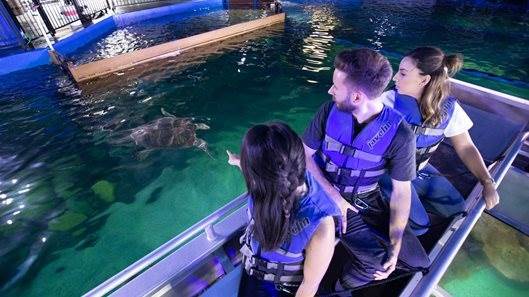 悉尼水族馆全攻略,水族馆就应该这样玩!