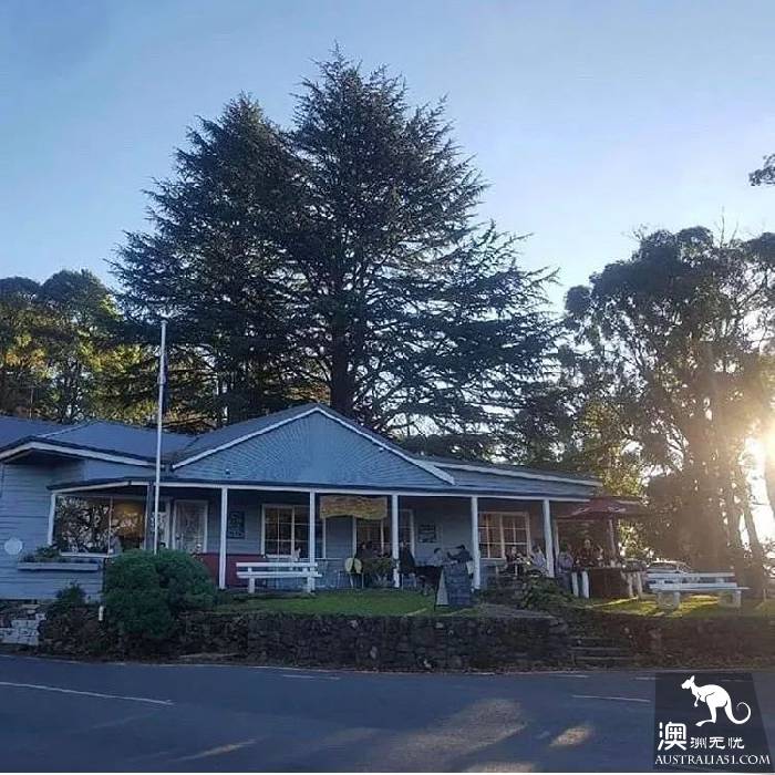 墨尔本Dandenong山区最Local玩法！看完这篇深度攻略，就能跟普通游客路线说拜拜了