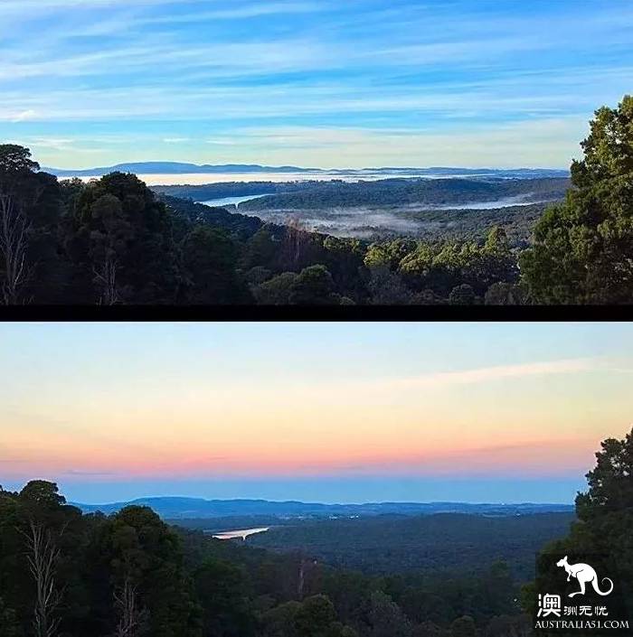 墨尔本Dandenong山区最Local玩法！看完这篇深度攻略，就能跟普通游客路线说拜拜了