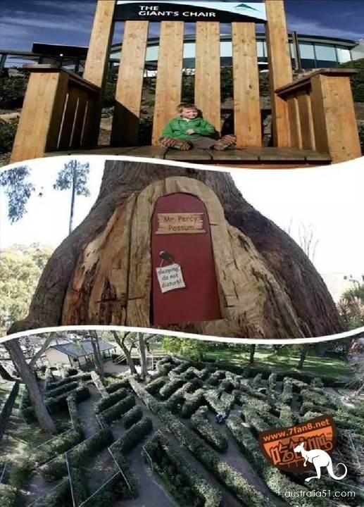 丹德农(Dandenong)吃喝玩乐全攻略,有这篇就够了