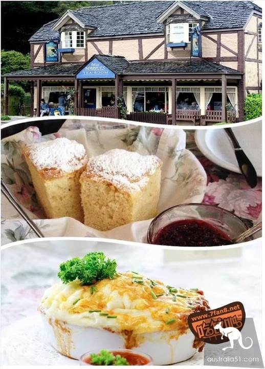 丹德农(Dandenong)吃喝玩乐全攻略,有这篇就够了