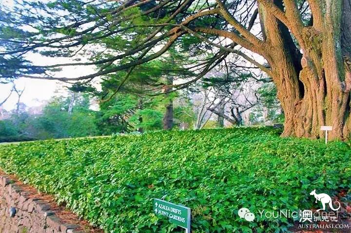 悉尼蓝山卢拉小镇探Everglades欧式风情古宅花园