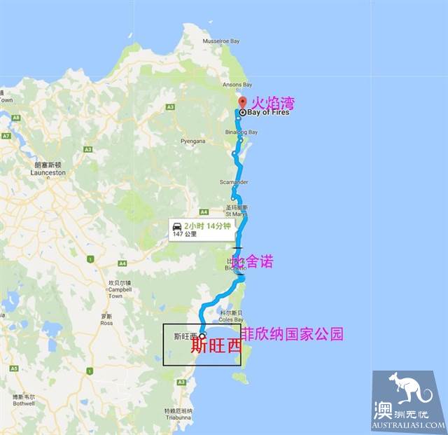 去塔斯马尼亚，围绕这4个中心城镇就能放肆撒欢玩啦
