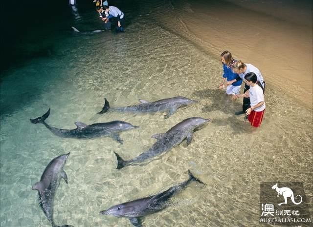 黄金海岸周边三大海岛,超详细对比教你如何选择