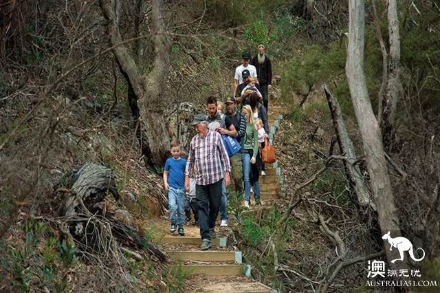 在澳大利亚悉尼,有一家山洞民宿,每年有10个月客满