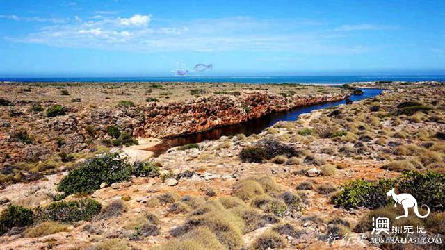 西澳的开普岭国家公园（Cape Range National Park）都有哪些好玩的？