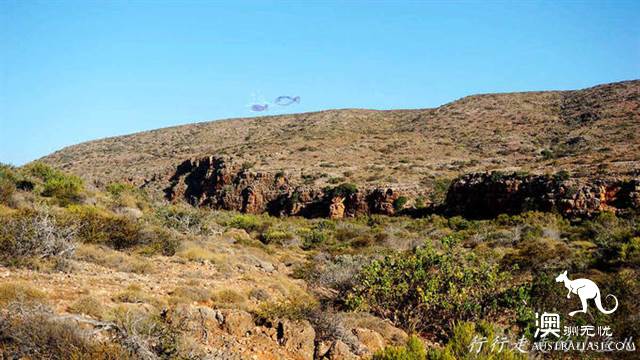西澳的开普岭国家公园（Cape Range National Park）都有哪些好玩的？