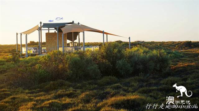 西澳的开普岭国家公园（Cape Range National Park）都有哪些好玩的？